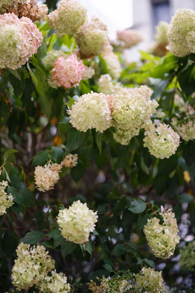 wedding flowers at museum wedding
